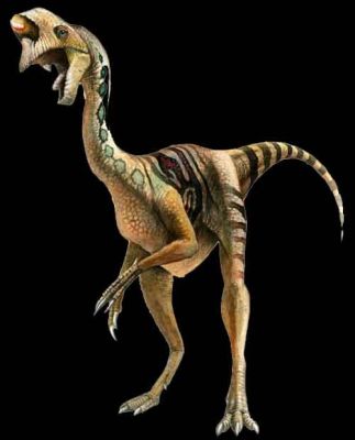 dinooviraptor
