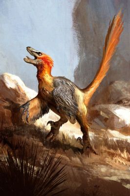 dinovelociraptor

