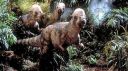 dinopachycephalosaurus.jpg