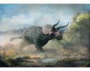 dinotriceratops.jpg