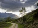chemin-de-montagne-2.jpg