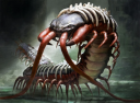 centipede.png