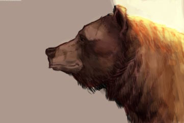 ours.jpg