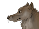 jeune_loup_agressif.png