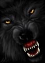 loup_enrage_.jpg